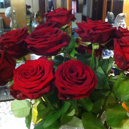 Le Dauphin Αζάτσιο