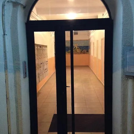 酒店 海豚酒店 阿雅克肖