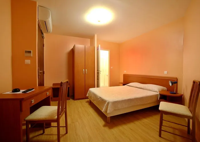 ホテル Le Dauphin アジャクシオ