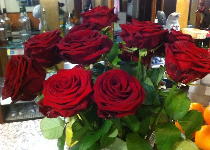 Le Dauphin アジャクシオ